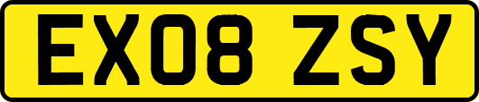 EX08ZSY