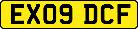 EX09DCF