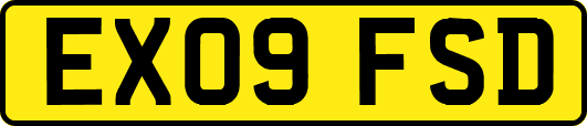 EX09FSD