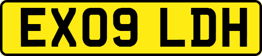 EX09LDH