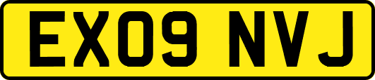 EX09NVJ