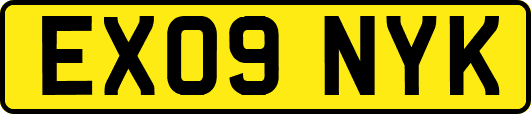 EX09NYK