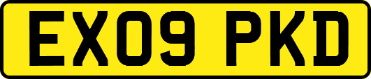 EX09PKD