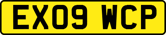EX09WCP