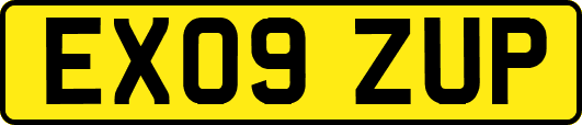 EX09ZUP
