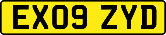 EX09ZYD
