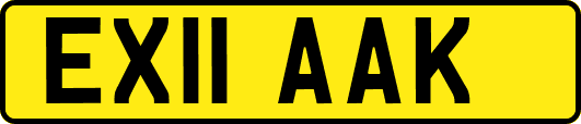 EX11AAK