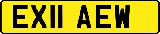 EX11AEW