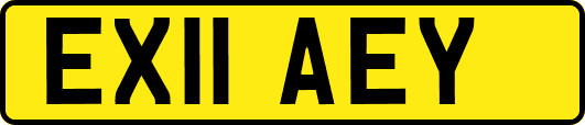 EX11AEY