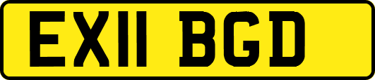 EX11BGD