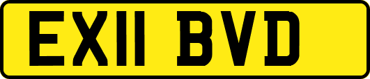 EX11BVD