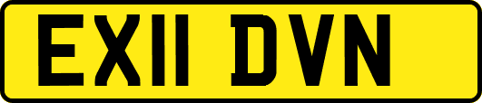 EX11DVN