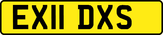 EX11DXS