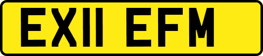 EX11EFM