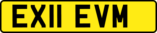 EX11EVM