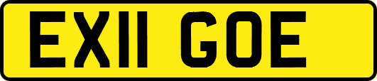 EX11GOE
