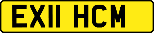 EX11HCM