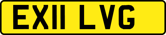 EX11LVG