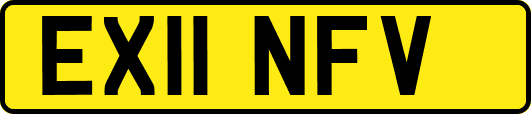EX11NFV