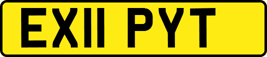 EX11PYT