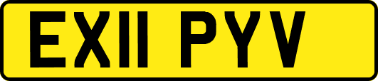 EX11PYV