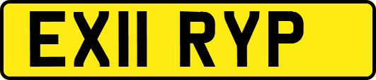 EX11RYP