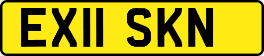 EX11SKN