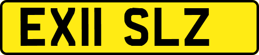 EX11SLZ