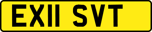 EX11SVT