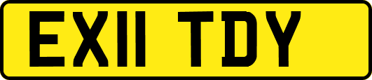 EX11TDY