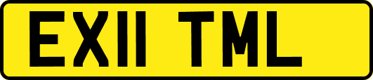 EX11TML