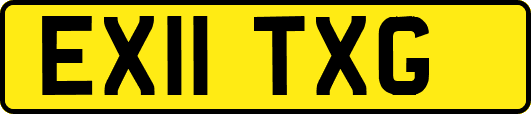 EX11TXG