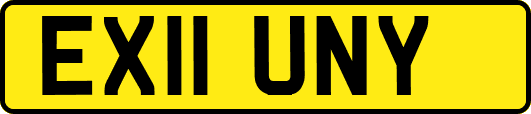 EX11UNY