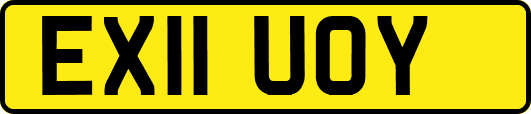 EX11UOY