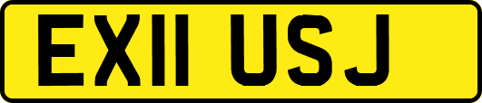 EX11USJ