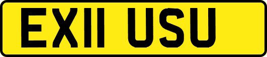 EX11USU