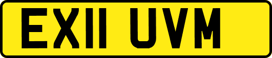 EX11UVM