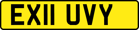 EX11UVY