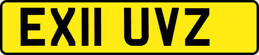 EX11UVZ