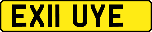 EX11UYE