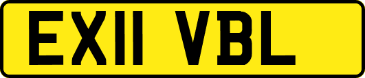 EX11VBL