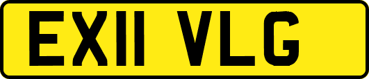 EX11VLG