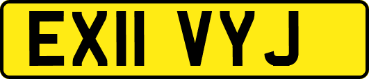 EX11VYJ