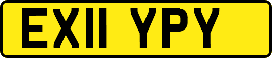 EX11YPY