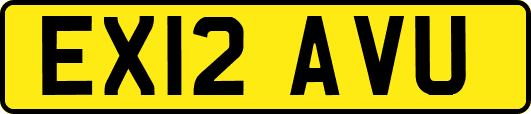 EX12AVU