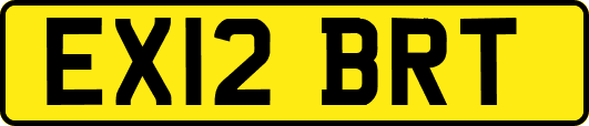 EX12BRT