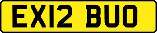 EX12BUO