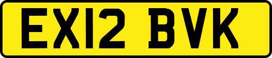 EX12BVK