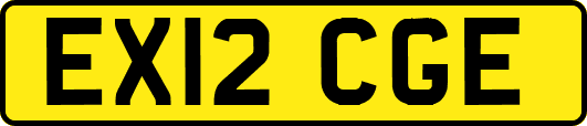 EX12CGE