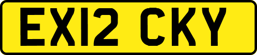 EX12CKY
